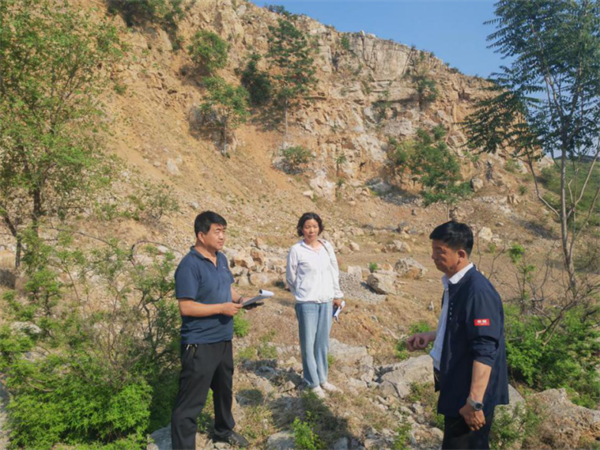 苍岩山镇新项目，引领地方发展的璀璨明珠之光