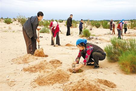 石羊河林业总场泉山分场交通动态更新