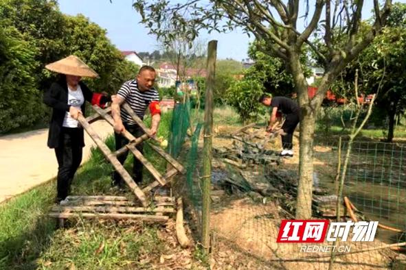 北塔区统计局最新发展规划概览