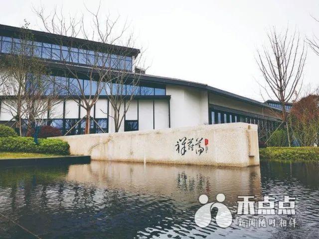 嘉善县计生委最新项目进展深度解析报告