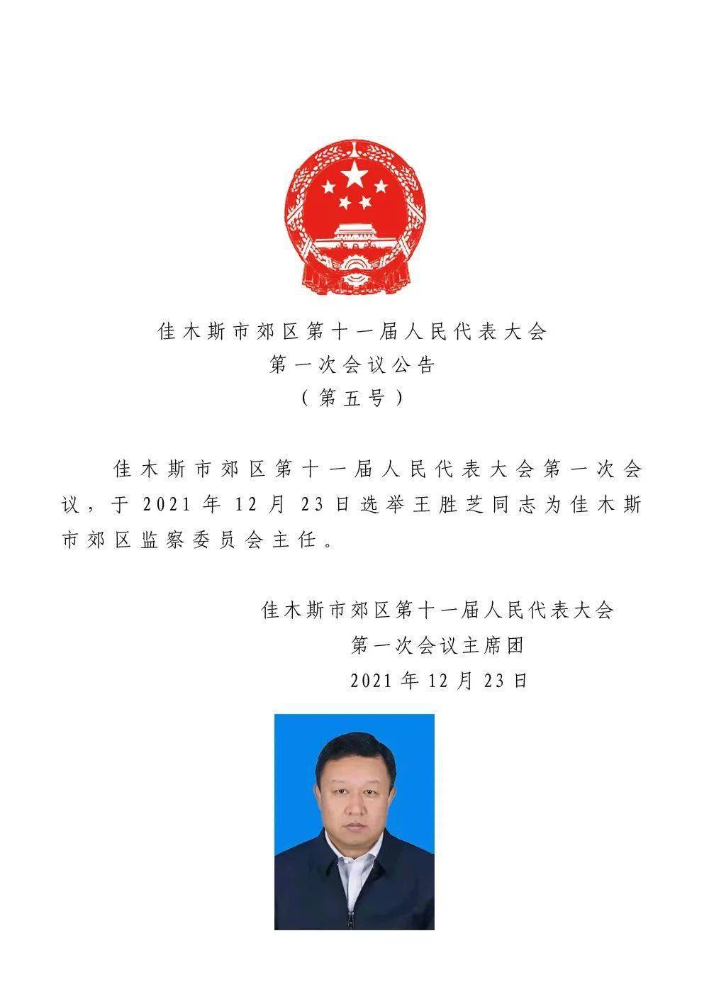 绥滨县人民政府办公室人事任命，开启县域发展新篇章