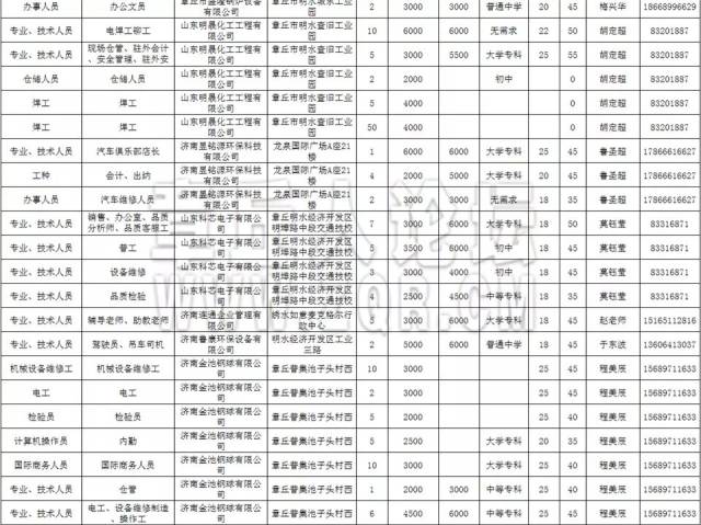 枣园镇最新招聘信息汇总