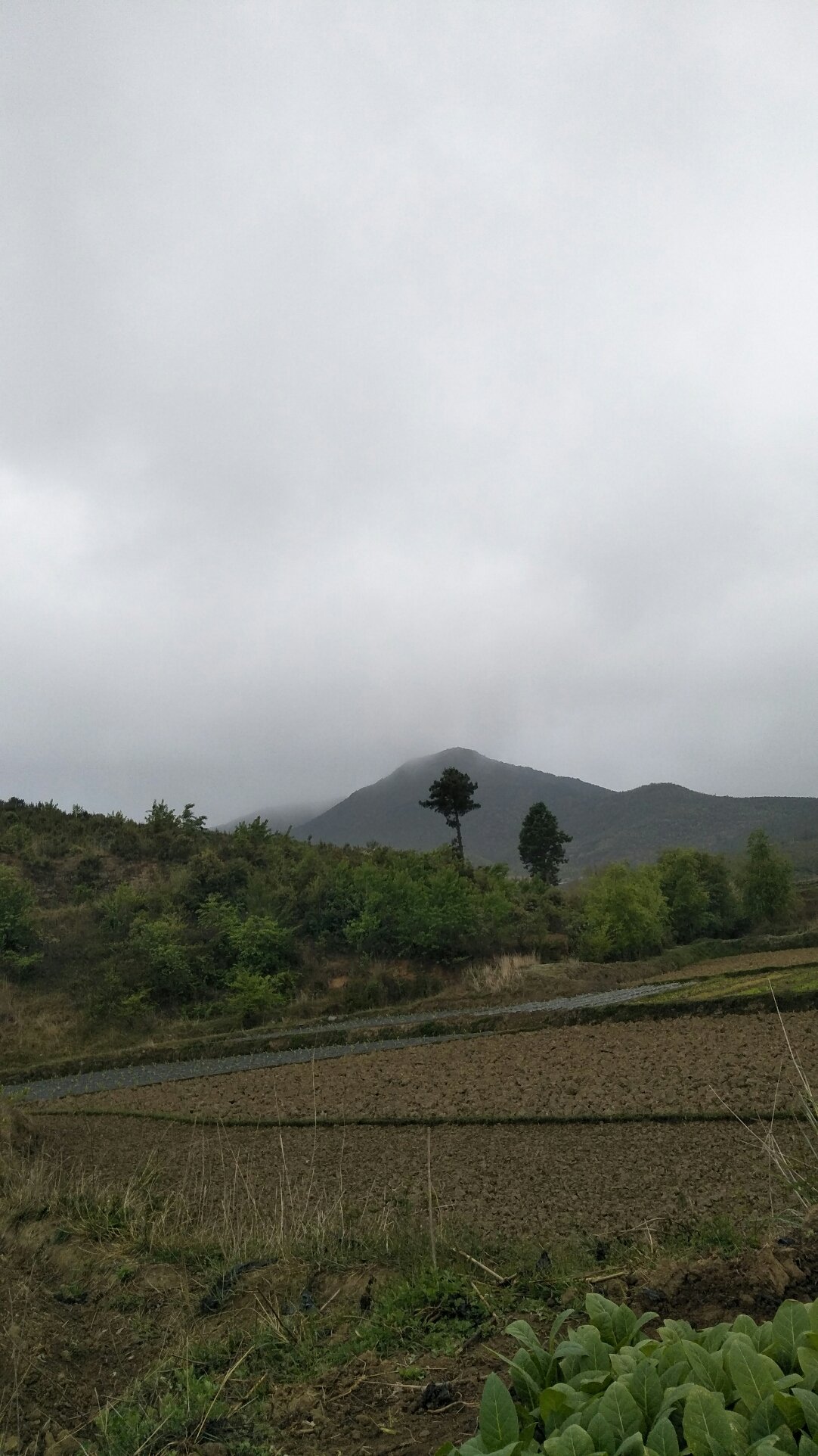 宝莲寺镇天气预报更新通知