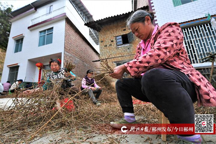 水南农场交通新闻更新