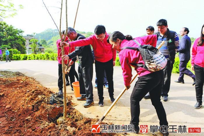 玉林市扶贫开发领导小组办公室最新招聘信息全面解析